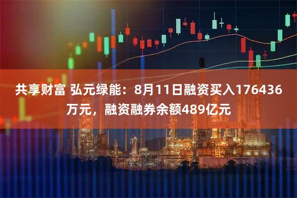共享财富 弘元绿能：8月11日融资买入176436万元，融资融券余额489亿元