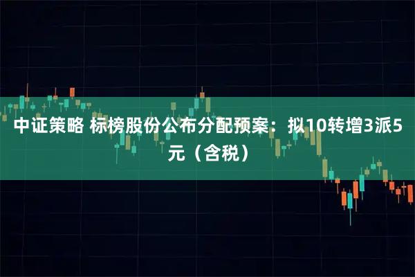 中证策略 标榜股份公布分配预案：拟10转增3派5元（含税）