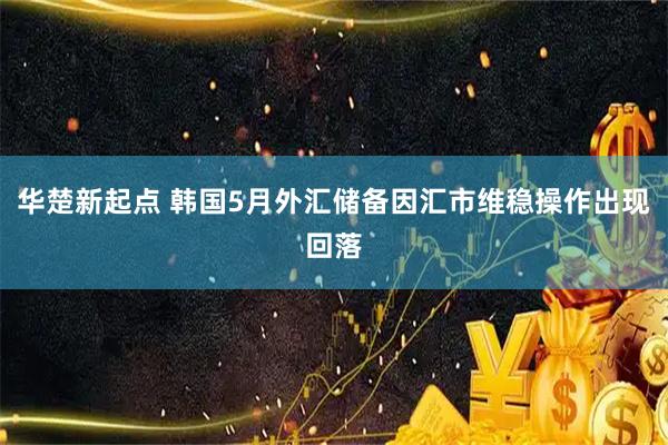 华楚新起点 韩国5月外汇储备因汇市维稳操作出现回落