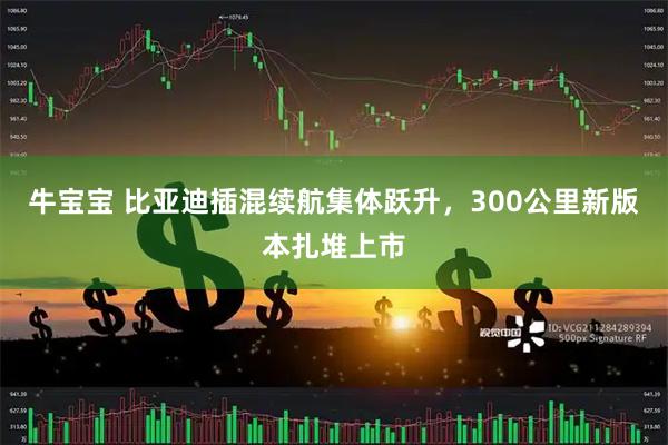 牛宝宝 比亚迪插混续航集体跃升，300公里新版本扎堆上市