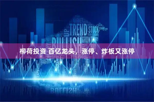 柳荷投资 百亿龙头，涨停、炸板又涨停